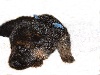 fidji   ( bleu ) pontarlier