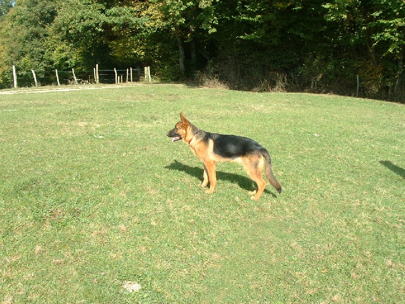 éra du domaine des grandes bastides