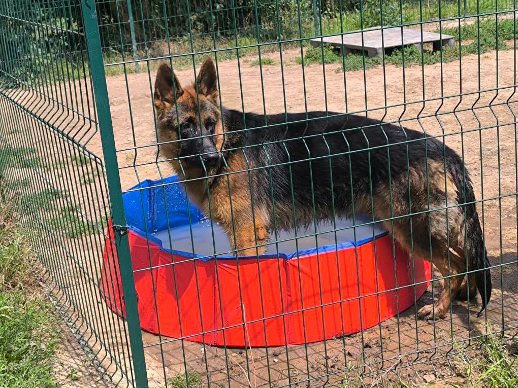 Vidimus Du val de la houée